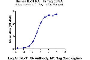 ELISA image for Interleukin 31 Receptor A (IL31RA) (AA 20-519) protein (His tag) (ABIN7275018)