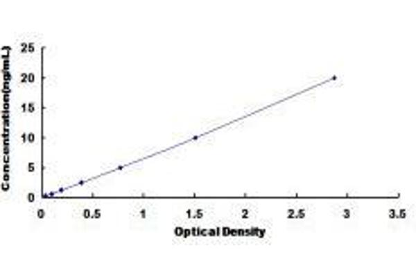 CHRNA7 Kit ELISA