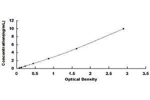 Typical standard curve (Dermatopontin Kit ELISA)