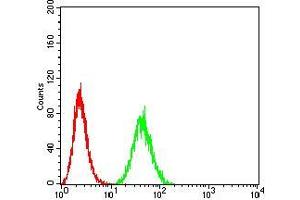 Flow cytometric analysis of Hela cells using B3GAT1 mouse mAb (green) and negative control (red). (CD57 anticorps  (AA 193-334))