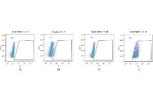 FACS analysis of C. (CLDN18.2 protein-VLP)