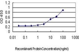 ELISA image for anti-Cyclin H (CCNH) (AA 1-110) antibody (ABIN560218)