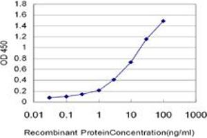 Detection limit for recombinant GST tagged KITLG is approximately 0. (KIT Ligand anticorps  (AA 26-135))