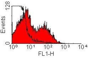 Flow Cytometry (FACS) image for Mouse anti-Rat Ig (Chain kappa), (Light Chain) antibody (HRP) (ABIN2475205) (Souris anti-Rat Ig (Chain kappa), (Light Chain) Anticorps (HRP))