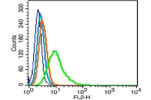 Flow Cytometry (FACS) image for anti-cAMP Responsive Element Binding Protein 1 (CREB1) (pSer133) antibody (ABIN723980)