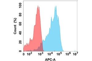 Flow cytometry analysis with Anti-IL21R on Expi293 cells transfected with human IL21R (Blue histogram) or Expi293 transfected with irrelevant protein (Red histogram). (IL21 Receptor anticorps)