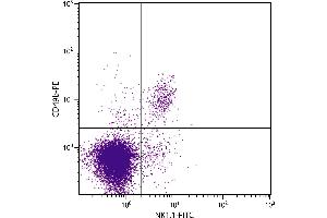 C57BL/6 mouse splenocytes were stained with Rat Anti-Mouse CD49b-PE. (ITGA2 anticorps  (PE))