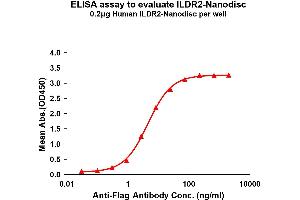 Elisa plates were pre-coated with Flag Tag I-Nanodisc (0. (ILDR2 Protéine)