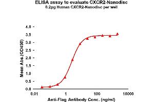 Elisa plates were pre-coated with Flag Tag C-Nanodisc (0. (CXCR2 Protéine)