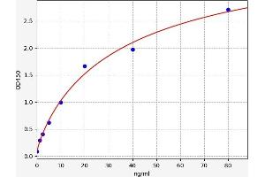 Typical standard curve (SCG2 Kit ELISA)