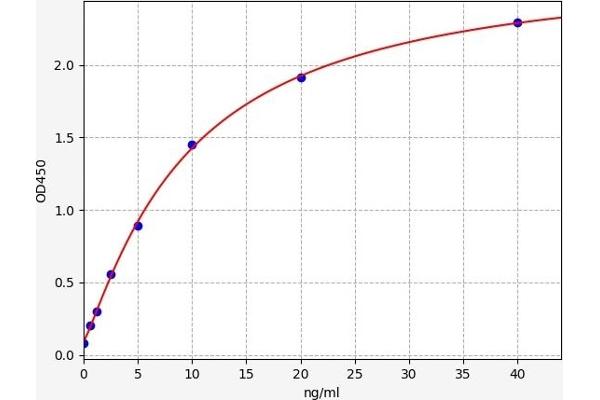 C6 Kit ELISA