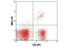 Flow Cytometry (FACS) image for anti-TCR V Beta8.1 antibody (PE) (ABIN2662873) (TCR V Beta8.1 anticorps (PE))