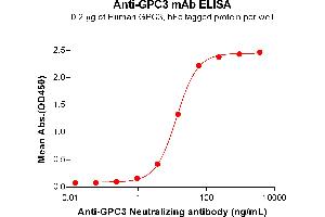 ELISA plate pre-coated by 2 μg/mL (100 μL/well) Human Protein, hFc Tag (ABIN7092674, ABIN7272488 and ABIN7272489) can bind Anti- Neutralizing antibody (ABIN7478032 and ABIN7491011) in a linear range of 0. (Recombinant GPC3 (Hu9F2 Biosimilar) anticorps)