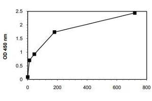 Typical standard curve (Anti-TPO IgG Kit ELISA)