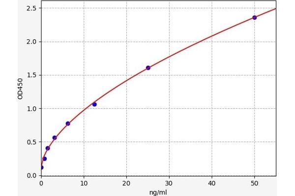 CEBPE Kit ELISA