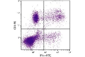 PMA and ionomycin stimulated human peripheral blood lymphocytes were stained with Mouse Anti-Human CD3-PE. (Interferon gamma anticorps  (FITC))