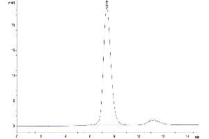 The purity of Human FGFR2 beta (IIIc) is greater than 95 % as determined by SEC-HPLC. (FGFR2 beta (AA 152-377) protein (His tag))