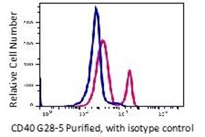 Flow Cytometry (FACS) image for anti-CD40 (CD40) antibody (ABIN6253105)