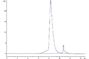 The purity of Biotinylated Human NKG2C&CD94 is greater than 95 % as determined by SEC-HPLC. (NKG2C & CD94 (AA 98-231) protein (His-Avi Tag,Biotin))