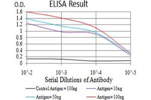 Black line: Control Antigen (100 ng)Purple line: Antigen (10ng) (MAPK10 anticorps  (AA 180-329))