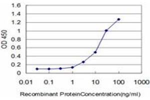 Detection limit for recombinant GST tagged FLT4 is approximately 1ng/ml as a capture antibody. (FLT4 anticorps  (AA 34-133))