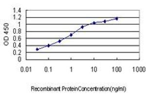 Detection limit for recombinant GST tagged RAB38 is approximately 0. (RAB38 anticorps  (AA 115-211))