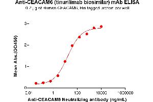 ELISA plate pre-coated by 2 μg/mL (100 μL/well) Human CEA Protein, His Tag ABIN6964142, ABIN7042563 and ABIN7042564 can bind Anti-CEA Neutralizing antibody (ABIN7477999 and ABIN7490936) in a linear range of 0. (Recombinant CEACAM6 (Tinurilimab Biosimilar) anticorps)