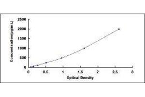Typical standard curve (HPSE Kit ELISA)