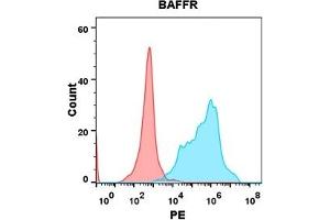 Flow cytometry analysis with Anti-BAFFR (DM143) on Expi293 cells transfected with human BAFFR (Blue histogram) or Expi293 transfected with irrelevant protein (Red histogram). (TNFRSF13C anticorps  (AA 7-71))