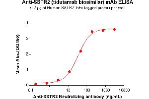 ELISA plate pre-coated by 2 μg/mL (100 μL/well) Human S Protein, hFc Tag (ABIN6964126, ABIN7042533 and ABIN7042534) can bind Anti-S Neutralizing antibody (ABIN7478019 and ABIN7490973) in a linear range of 2. (Recombinant SSTR2 (Tidutamab Biosimilar) anticorps)