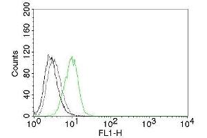 Flow Cytometry of human p27 on HeLa cells. (CDKN1B anticorps  (CF®488A))