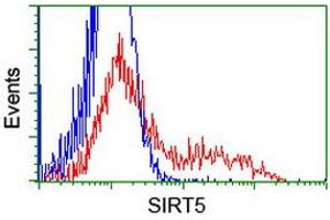 Flow Cytometry (FACS) image for anti-Sirtuin 5 (SIRT5) antibody (ABIN1500930) (SIRT5 anticorps)