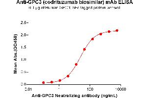 ELISA plate pre-coated by 1 μg/mL (100 μL/well) Human Protein, hFc Tag (ABIN7092674, ABIN7272488 and ABIN7272489) can bind Anti- Neutralizing antibody (ABIN7477988 and ABIN7490914) in a linear range of 1. (Recombinant GPC3 (Codrituzumab Biosimilar) anticorps)