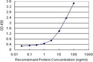 Sandwich ELISA detection sensitivity ranging from 3 ng/mL to 100 ng/mL. (HOXD8 (Humain) Matched Antibody Pair)