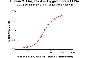 ELISA image for Cytotoxic T-Lymphocyte-Associated Protein 4 (CTLA4) (AA 36-161) protein (mFc-His Tag) (ABIN6961090)