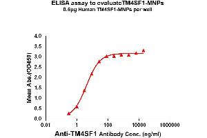Elisa plates were pre-coated with 0. (TM4SF1 Protéine)