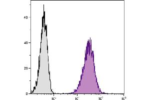 DBA/2 mouse mastocytoma cell line P815 and mB7. (CD80 anticorps  (SPRD))