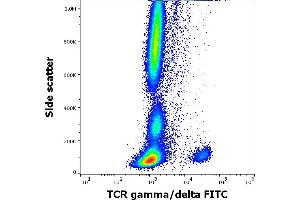 Flow cytometry surface staining pattern of human peripheral whole blood stained using anti-human TCR gamma/delta (11F2) FITC antibody (4 μL reagent / 100 μL of peripheral whole blood). (TCR gamma/delta anticorps  (FITC))