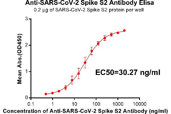 SARS-CoV-2 Spike S2 anticorps