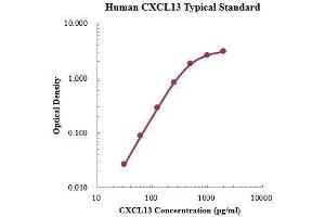 ELISA image for Chemokine (C-X-C Motif) Ligand 13 (CXCL13) ELISA Kit (ABIN3198520) (CXCL13 Kit ELISA)