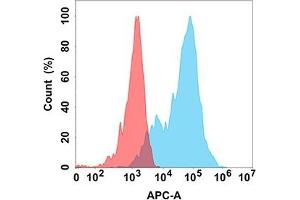 Flow cytometry analysis with Anti-E (DM162) on Expi293 cells transfected with human E (Blue histogram) or Expi293 transfected with irrelevant protein (Red histogram). (EPH Receptor A3 anticorps  (AA 21-541))