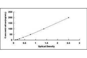 ELISA image for Glucuronic Acid Epimerase (GLCE) ELISA Kit (ABIN437538) (GLCE Kit ELISA)