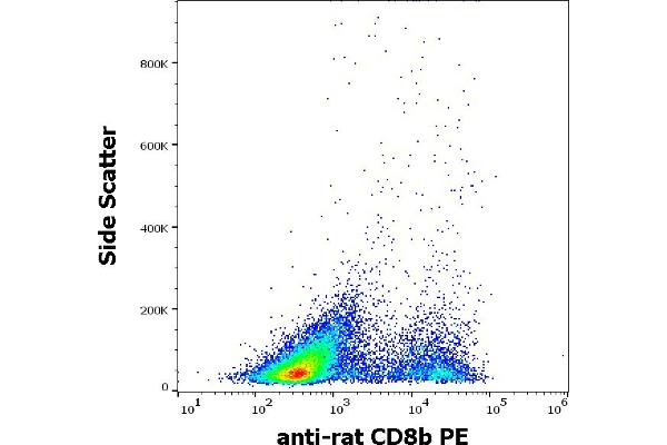 CD8B anticorps  (PE)