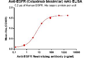 ELISA plate pre-coated by 2 μg/mL (100 μL/well) Human EGFR, His tagged protein ABIN6964078, ABIN7042411 and ABIN7042412 can bind Anti-EGFR   Neutralizing antibody in a linear range of 0. (Recombinant EGFR (Cetuximab Biosimilar) anticorps)