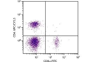 BALB/c mouse splenocytes were stained with Rat Anti-Mouse CD4-APC/CY5. (CD4 anticorps  (APC-Cy5.5))