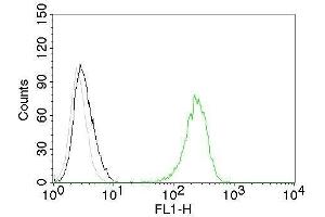 Flow Cytometry of human CD71 on Jurkat cells. (Transferrin Receptor anticorps)