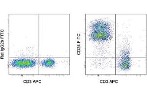 Image no. 1 for anti-CD24 Molecule (CD24) antibody (FITC) (ABIN474789) (CD24 anticorps  (FITC))
