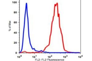 Flow Cytometry (FACS) image for anti-CD90 (THY1) antibody (Biotin) (ABIN3071872)