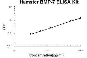 Hamster BMP-7 PicoKine ELISA Kit standard curve (BMP7 Kit ELISA)