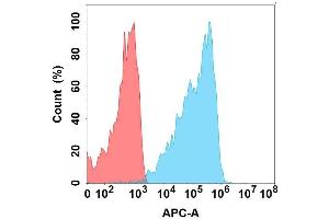 Flow cytometry analysis with Anti-CD on Expi293 cells transfected with human CD (Blue histogram) or Expi293 transfected with irrelevant protein (Red histogram). (CLEC2D anticorps)